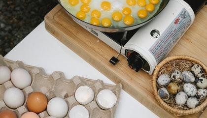 Crop unrecognizable chef frying eggs on pan