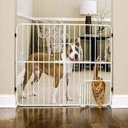 A dog is standing next to the pet friendly baby gate and a cat is crossing though the cat door