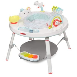 Skip Hop Baby Activity Center