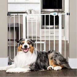 A dog is sitting next to the pet friendly baby gate