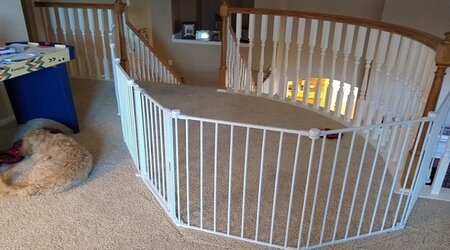 My dog sleeping next to the Regalo 192-Inch Super Wide Adjustable Baby Gate in the staircase area