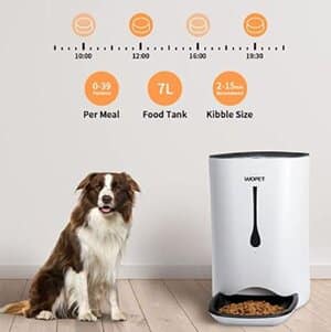 A dog is standing next to the Pet Feeder