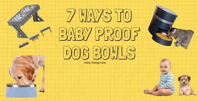 Featured image of Baby broofing dog bowls. On this image there is a baby, dog and dog bowls