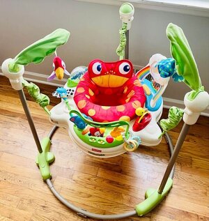 Fisher-Price Portable baby bouncers